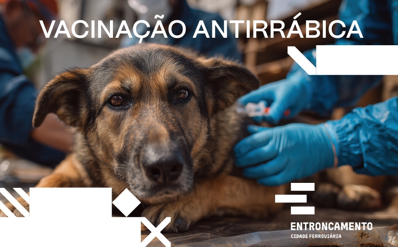 Cancelamento | 11 outubro | Vacinação Antirrábica
