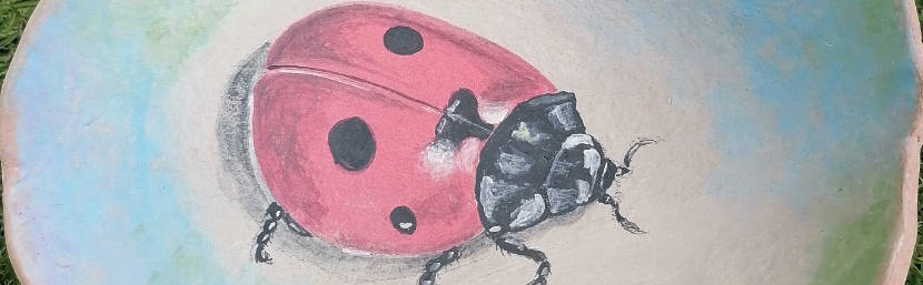 Exposição de Cerâmica e Pintura “Perfeito…Imperfeito…” 