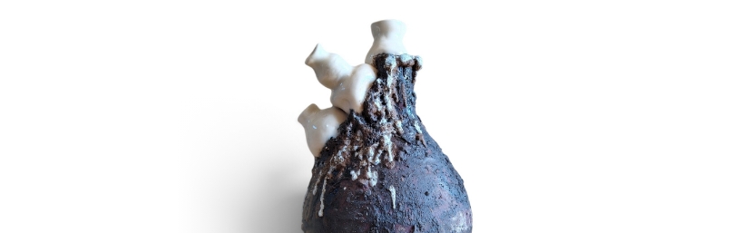 Exposição de cerâmica "Morfologia do inútil" de Célia Macedo