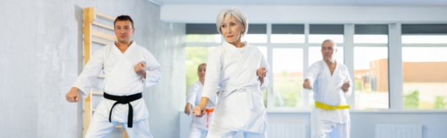 Viver + Ativo 2025/2026 conta com aulas de Karaté